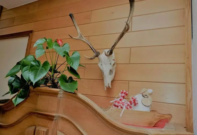 Отель Hohe Tauern