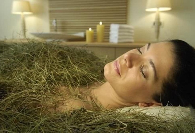 ホテル Natur Idyll Hochgall