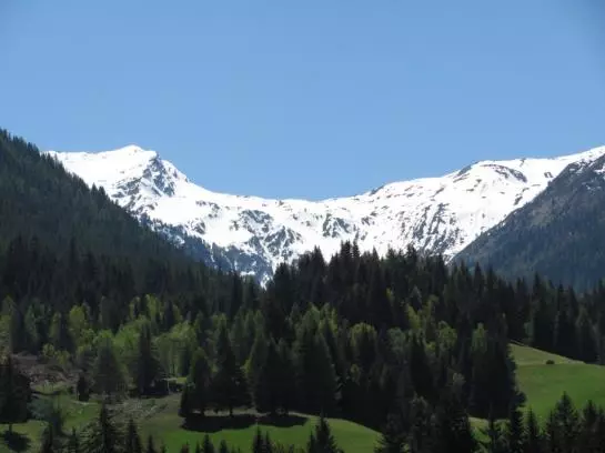 Hotel Neuhauserhof