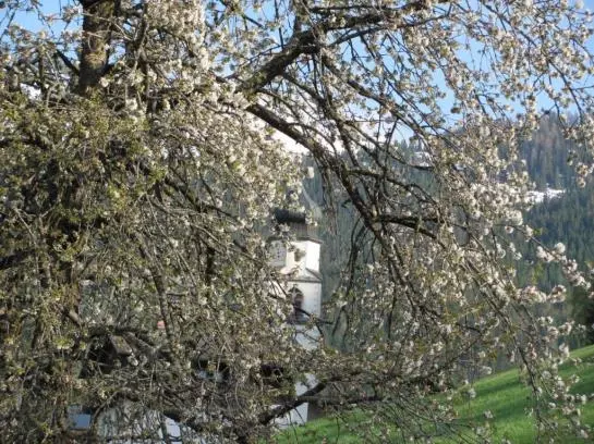 Hotel Neuhauserhof