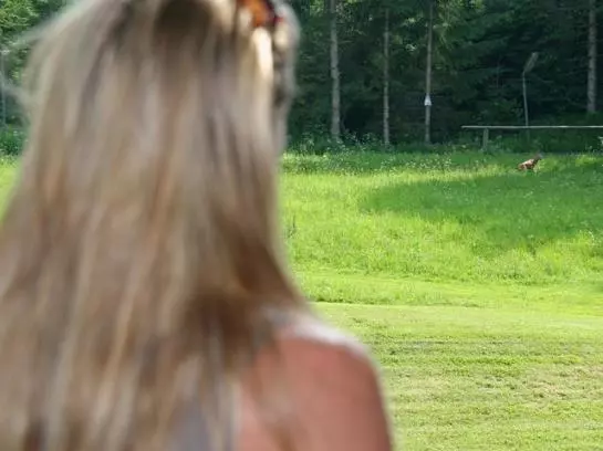 בית מלון כפרי Garni Pension Zur Wacht