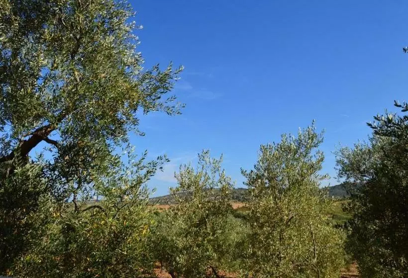 住所  Twobedroom Apartment San Luca