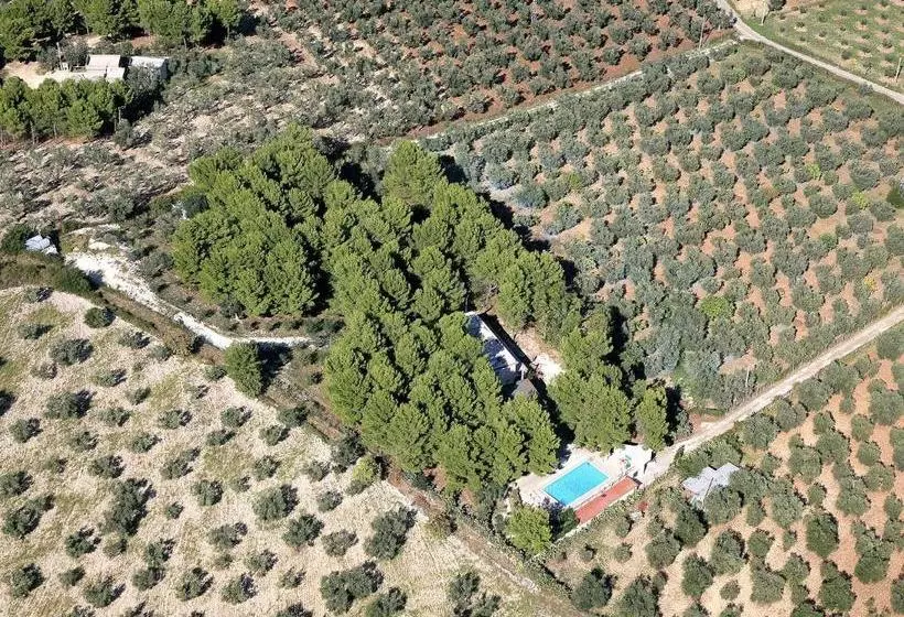 住所  Twobedroom Apartment San Luca