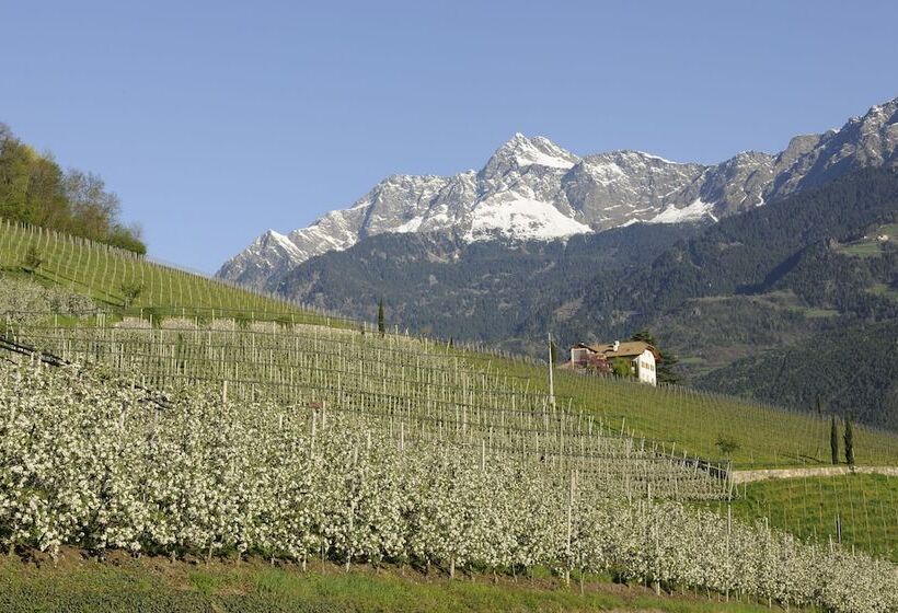 اقامتگاه Pazeider Bio