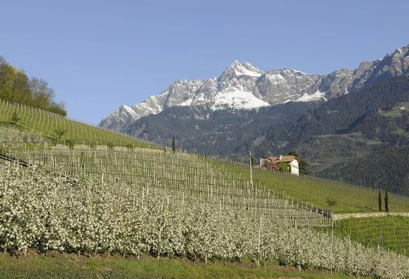 إقامة Pazeider Bio