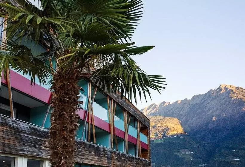 إقامة Pazeider Bio