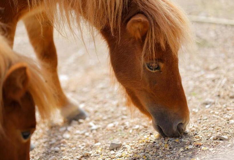 Agriturismo Villa Guarnaschelli