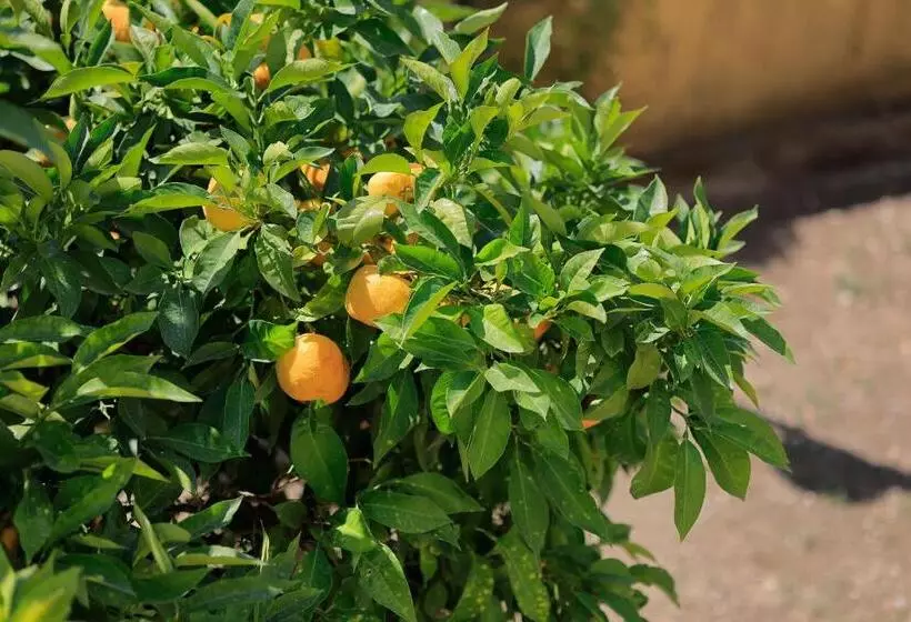 Agriturismo Villa Guarnaschelli