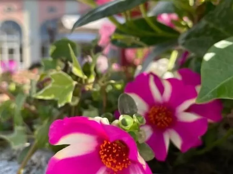 Отель Ca Rocca Relais