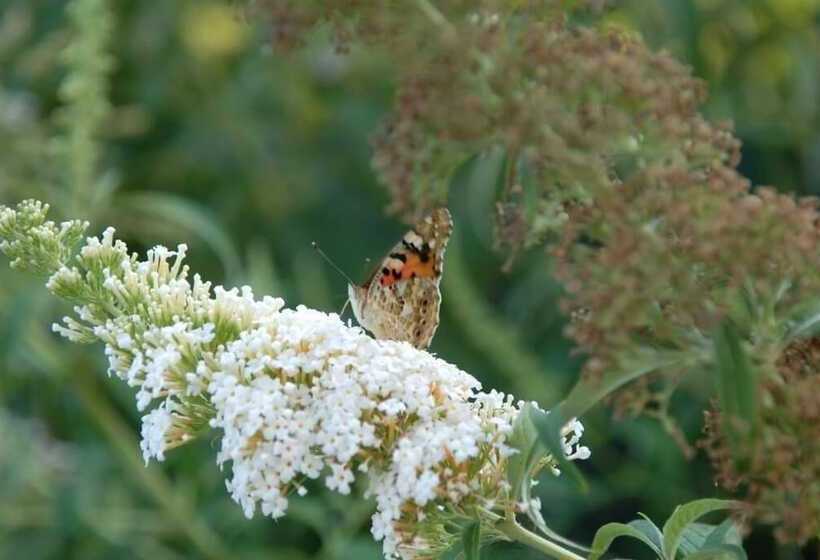 호텔 Ca Rocca Relais