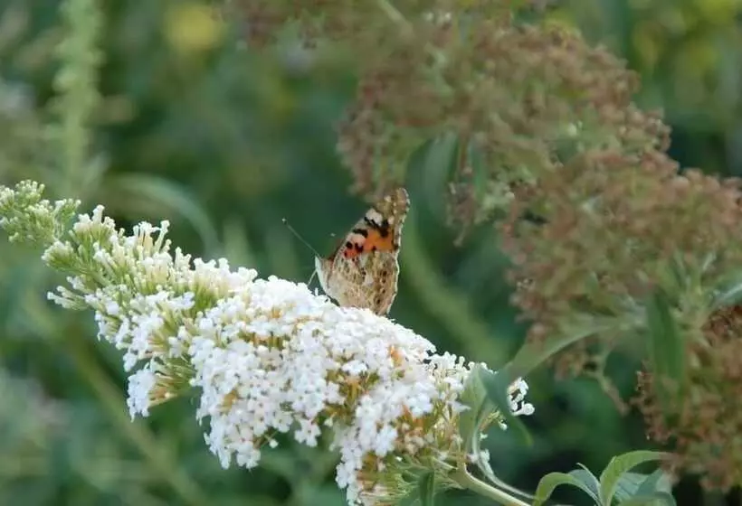 Отель Ca Rocca Relais