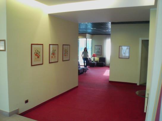 Delta Hotel Apartments