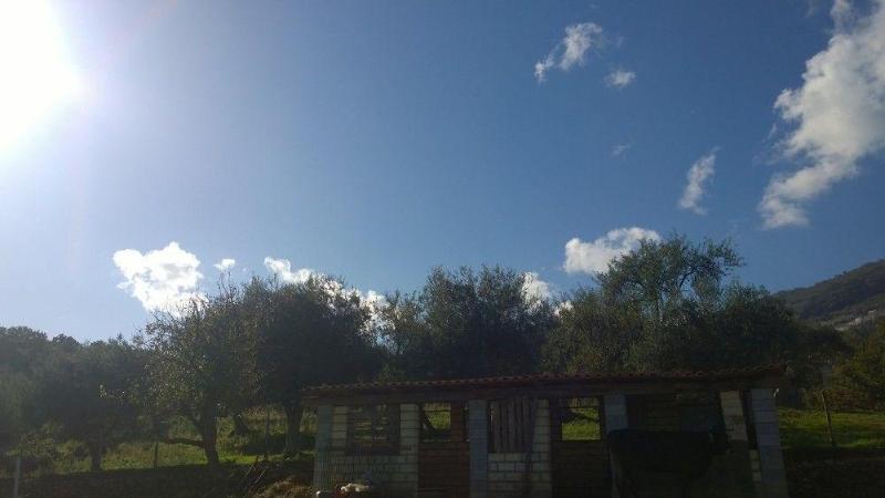 فندق Holidayfarm Monte Alto