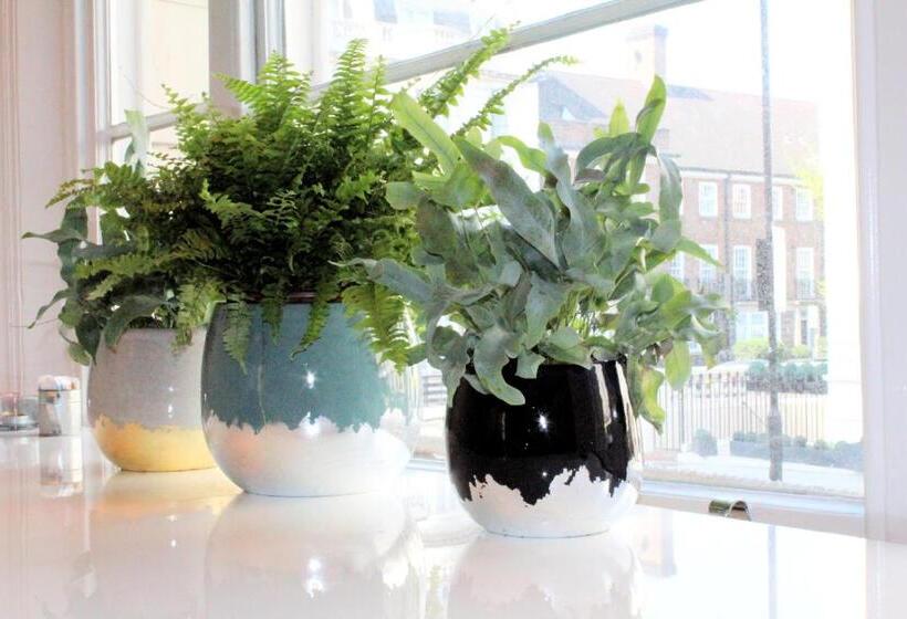 فندق Nox Lancaster Gate