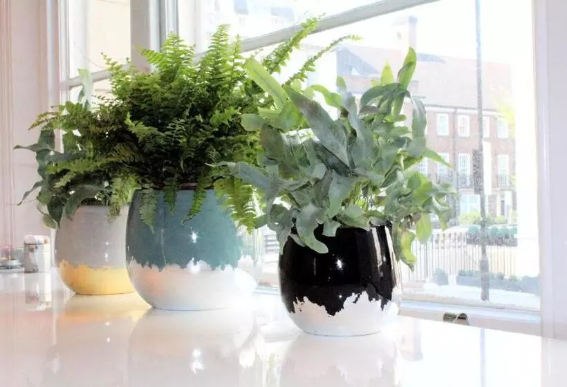 酒店 Nox Lancaster Gate