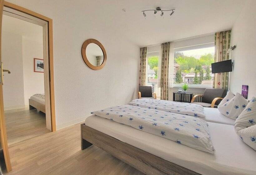 مبيت وإفطار Pension Jägerstieg