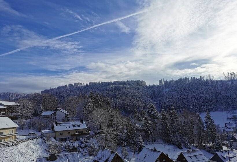 ベッドアンドブレックファースト Pension Jägerstieg