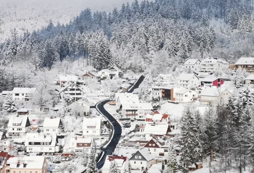 ベッドアンドブレックファースト Pension Jägerstieg