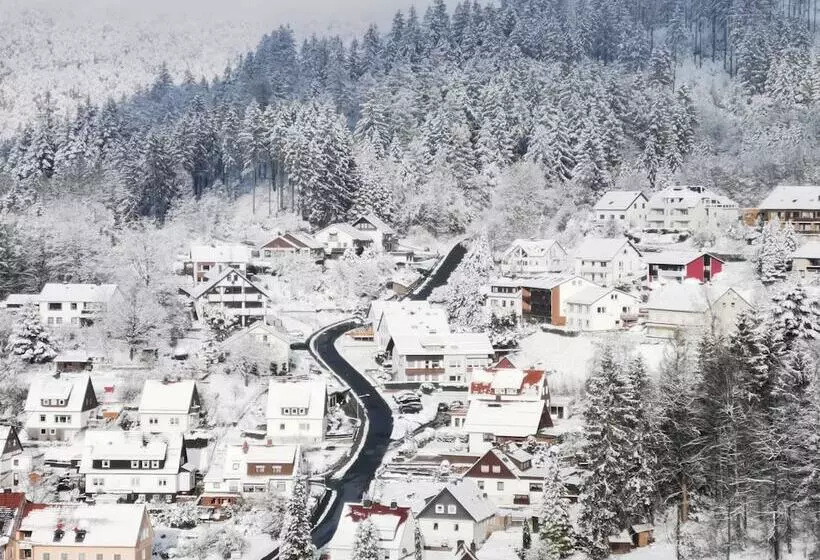 민박 Pension Jägerstieg