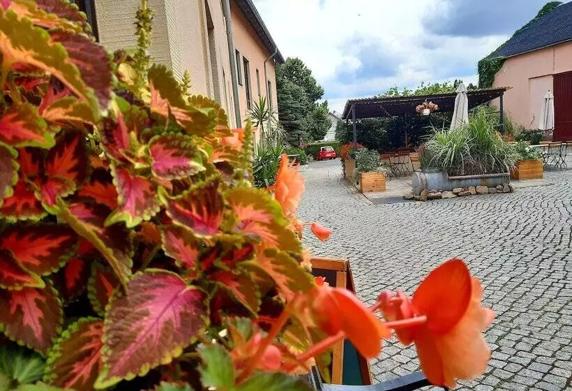 تختخواب و صبحانه Pension Marlis