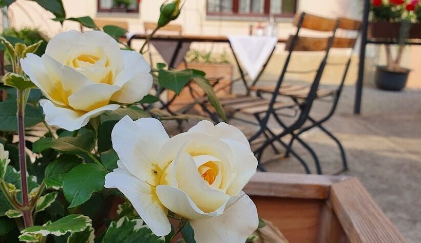 Bed and Breakfast Pension Marlis