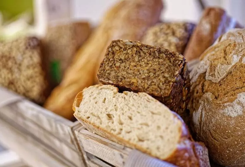 酒店 Cascada Rheine By Hackmann