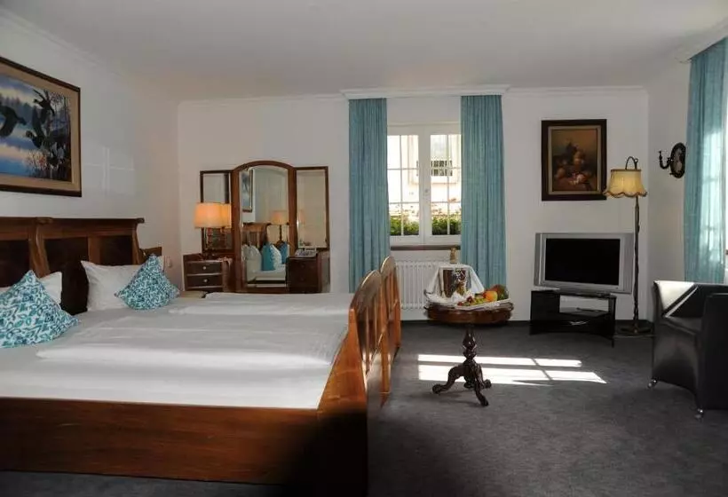 هتل Adler   Weil Am Rhein