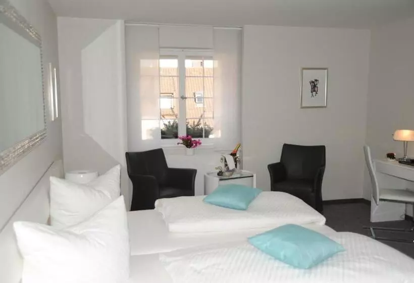 هتل Adler   Weil Am Rhein