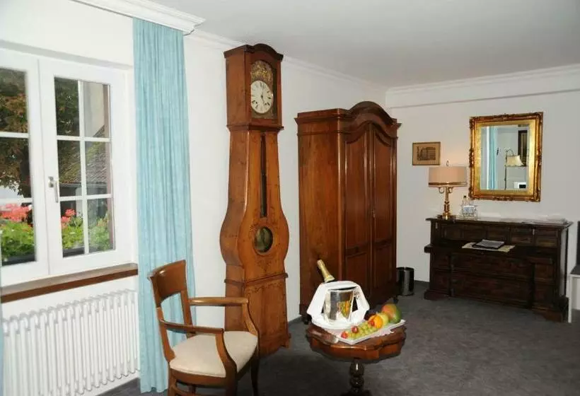 هتل Adler   Weil Am Rhein