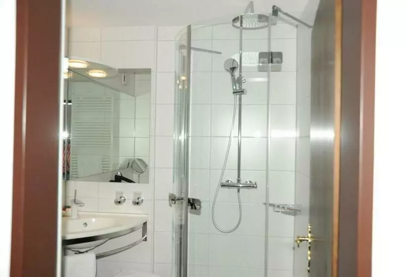 هتل Adler   Weil Am Rhein