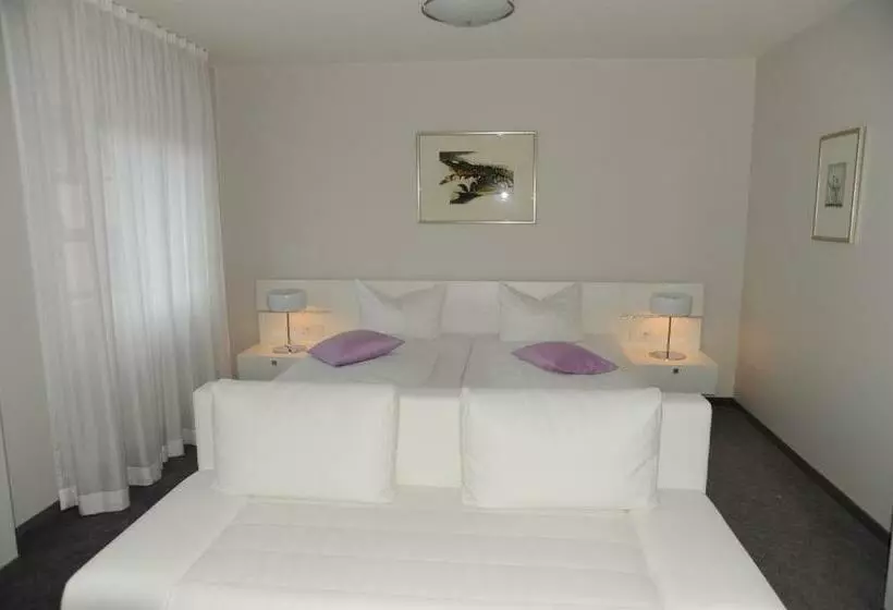 هتل Adler   Weil Am Rhein