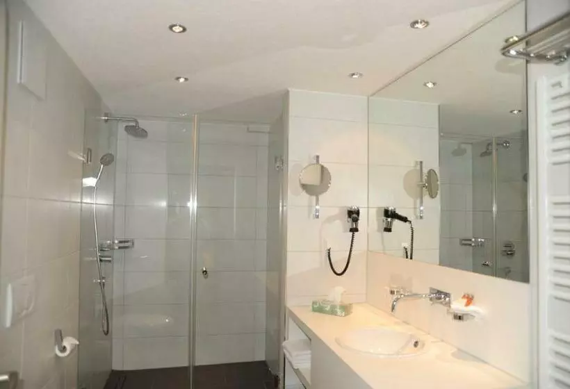 هتل Adler   Weil Am Rhein