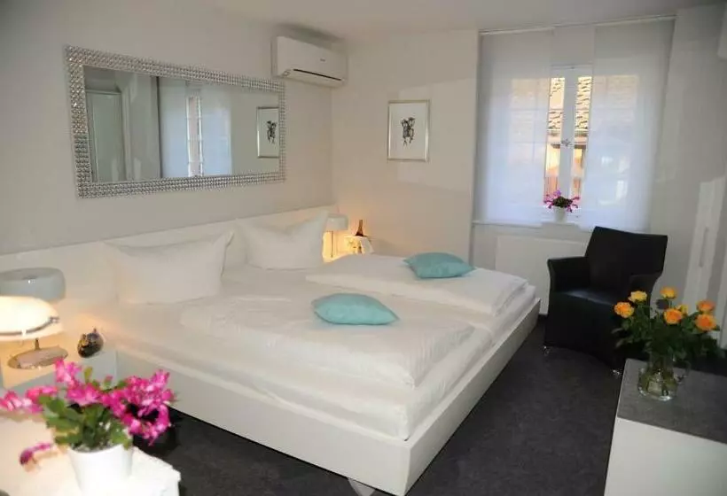 هتل Adler   Weil Am Rhein