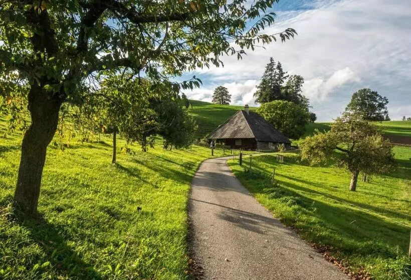 Отель Am Stadtpark