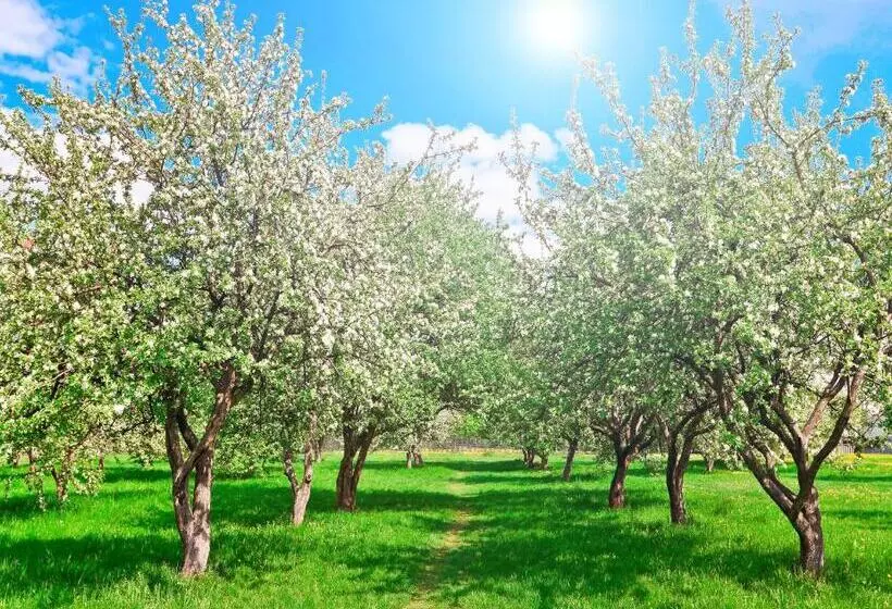 Отель Am Stadtpark