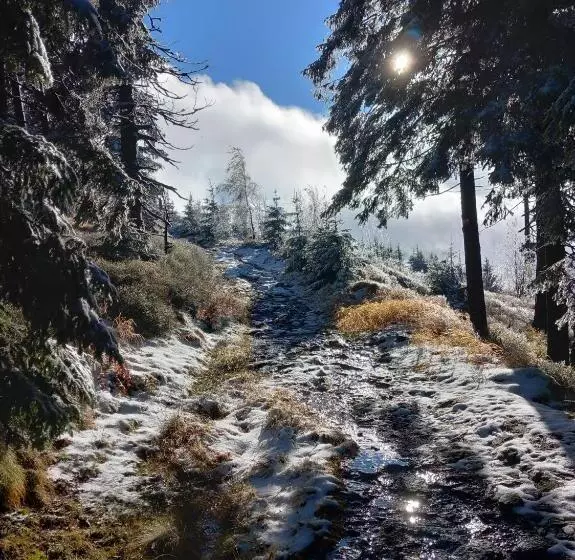 Отель Bayerische Gastwirtschaft Dimpfl Stadl