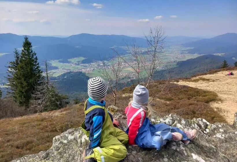 Отель Bayerische Gastwirtschaft Dimpfl Stadl