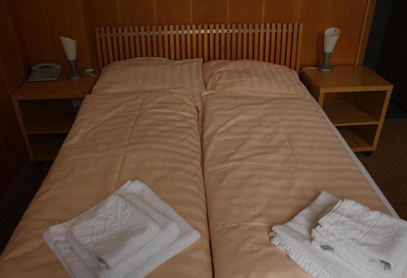 Отель Blauer Bock