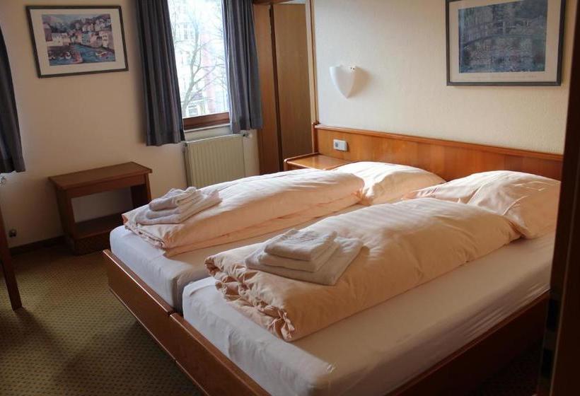 Отель Blauer Bock