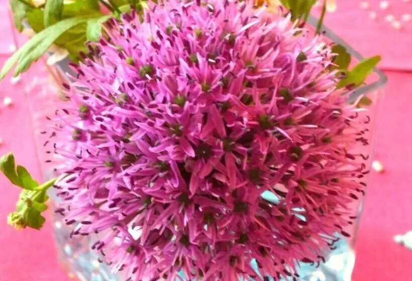 Отель Gasthaus Luthemuhle