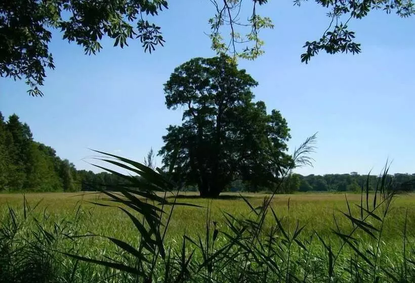 Hotel Jagdschloss Mönchbruch