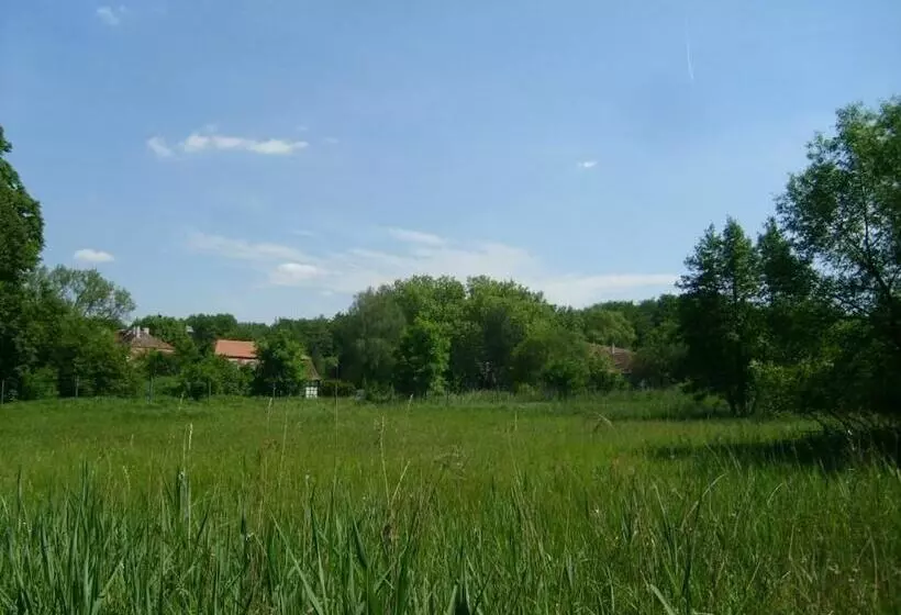 Hotel Jagdschloss Mönchbruch