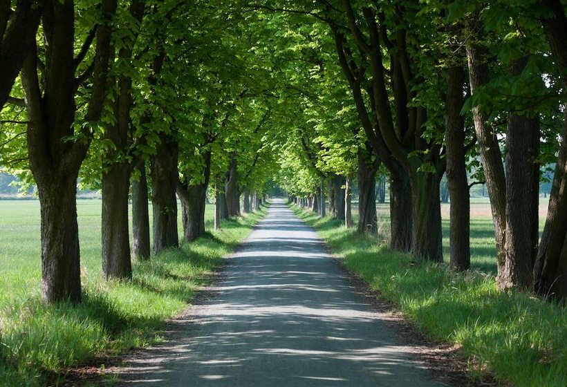 ホテル Jagdschloss Mönchbruch