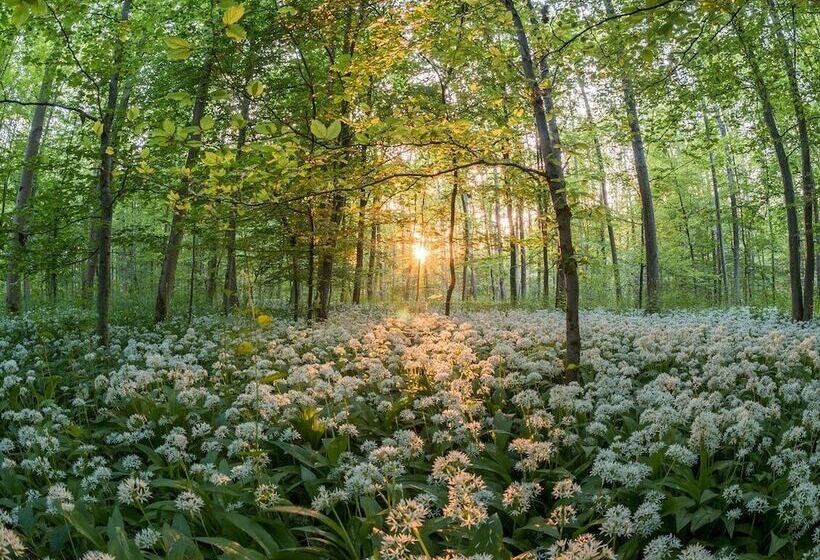 ホテル Jagdschloss Mönchbruch