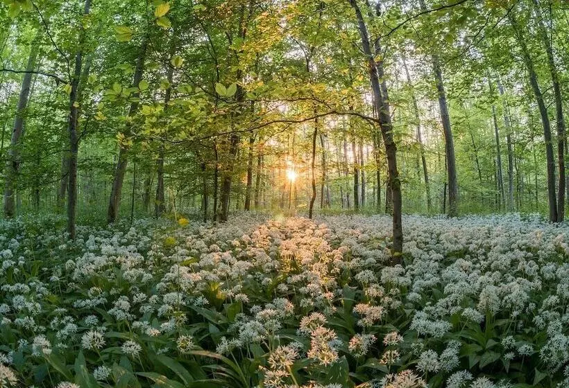 Hotel Jagdschloss Mönchbruch