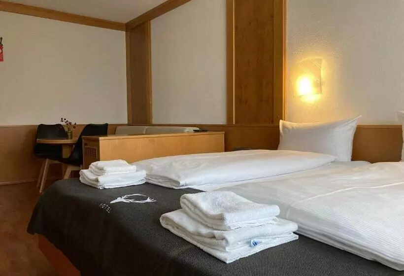 Отель Jägerhaus In Singen Am Hohentwiel