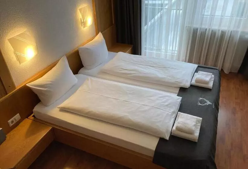 Отель Jägerhaus In Singen Am Hohentwiel