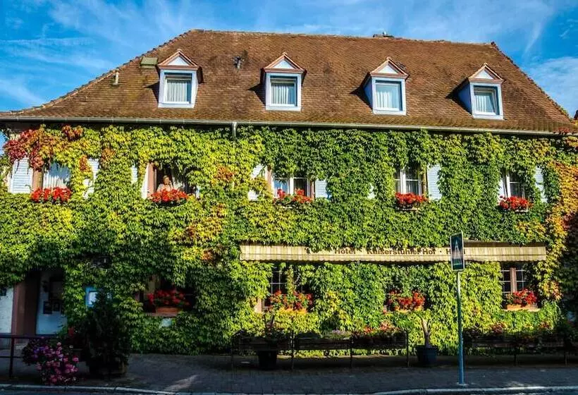 酒店 Kaiserstühler Hof