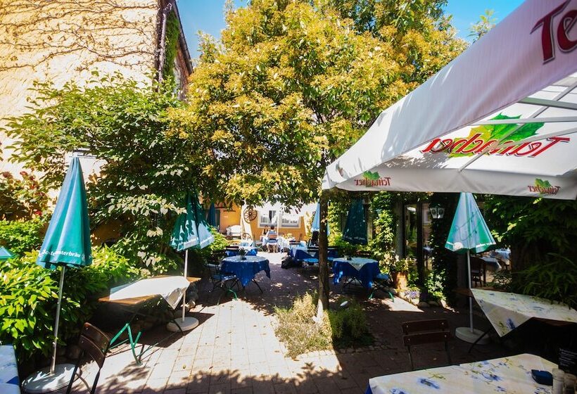 호텔 Kaiserstühler Hof