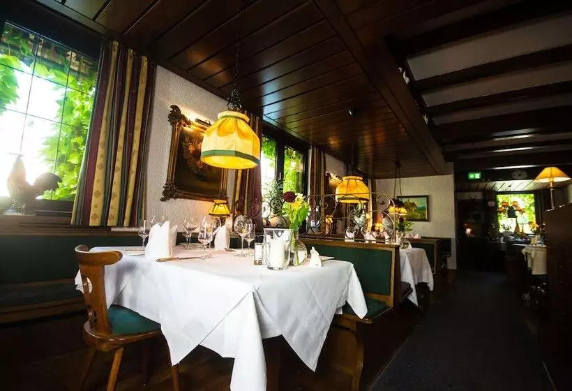 酒店 Kaiserstühler Hof